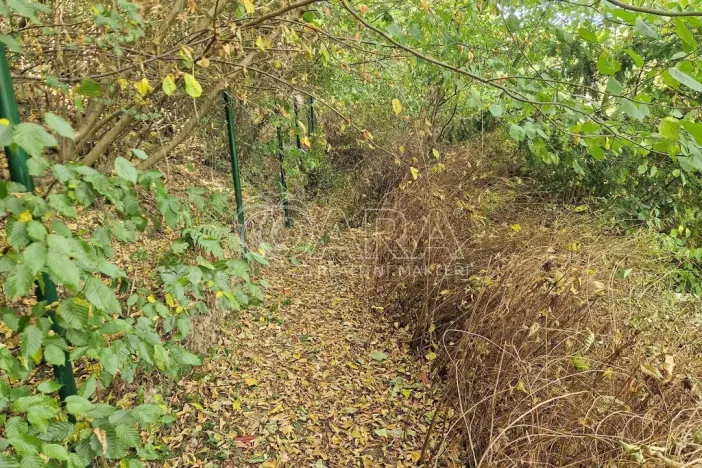 Prodej chaty, Černolice, V Dolečku, 38 m2