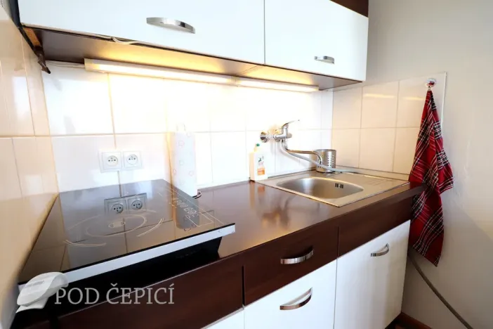 Pronájem bytu 1+kk, Brno, Halasovo náměstí, 24 m2