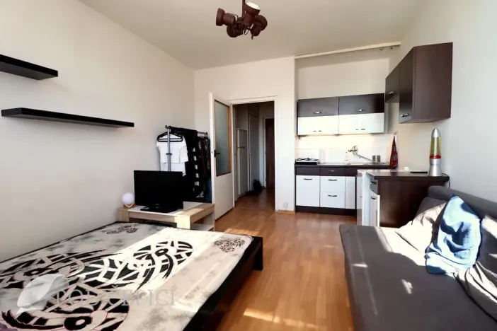 Pronájem bytu 1+kk, Brno, Halasovo náměstí, 24 m2