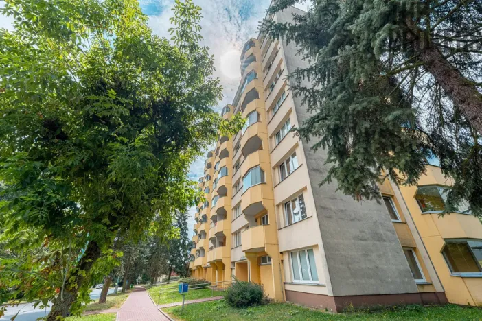 Prodej bytu 1+1, Pelhřimov, Dolnokubínská, 37 m2