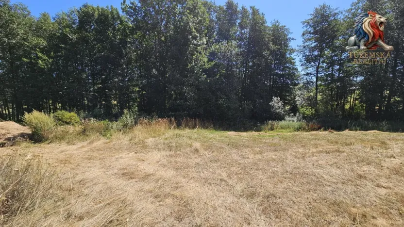Prodej pozemku pro bydlení, Nová Cerekev - Chmelná, 982 m2
