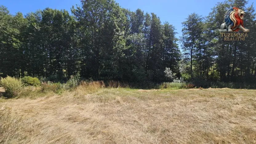 Prodej pozemku pro bydlení, Nová Cerekev - Chmelná, 982 m2