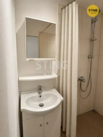 Pronájem bytu 2+1, Praha, Vinohradská, 52 m2