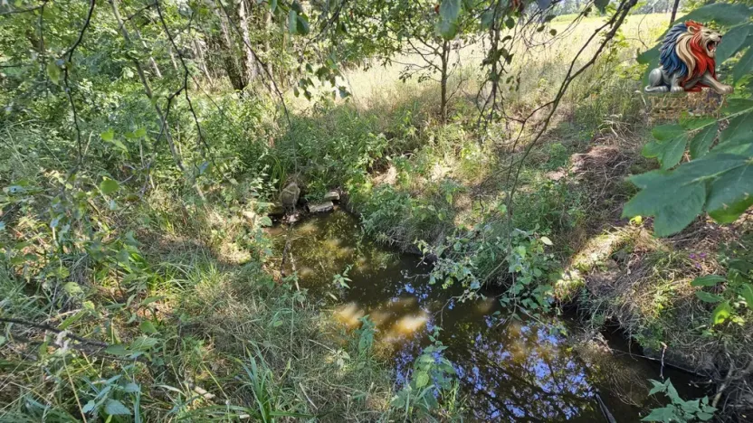 Prodej pozemku pro bydlení, Nová Cerekev - Chmelná, 955 m2