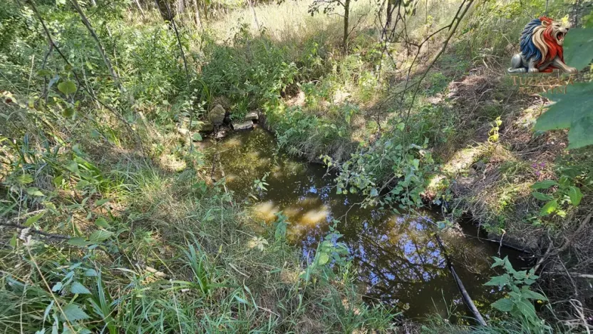 Prodej pozemku pro bydlení, Nová Cerekev - Chmelná, 955 m2