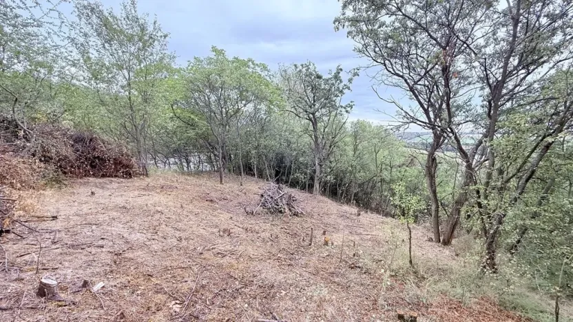 Prodej zahrady, Brandýsek, 464 m2