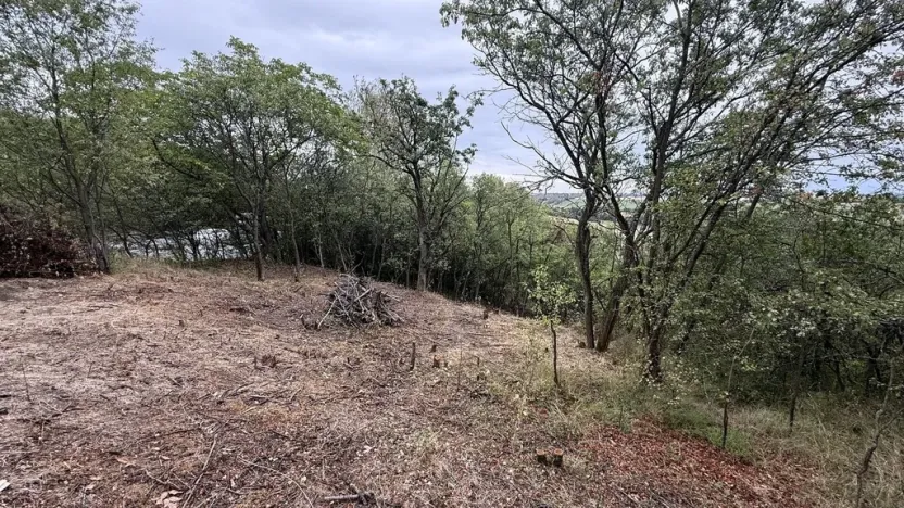 Prodej zahrady, Brandýsek, 464 m2