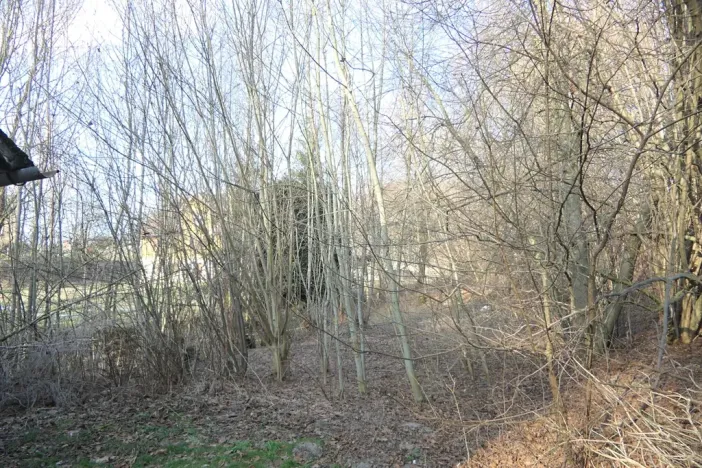 Prodej pozemku, Hamr na Jezeře, 471 m2