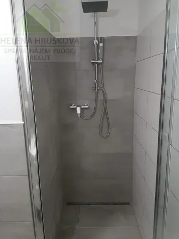 Pronájem bytu 1+kk, Ostrava, Závoří, 32 m2