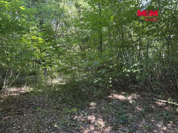 Prodej pozemku pro bydlení, Řepiště, 3402 m2