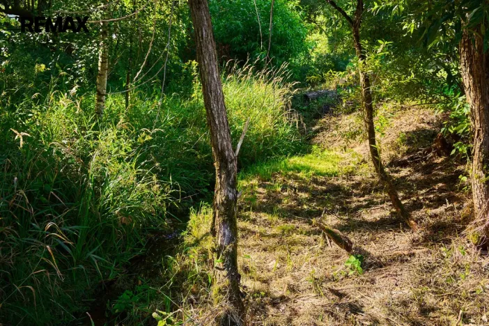 Prodej pozemku pro bydlení, Deštné v Orlických horách, 1171 m2
