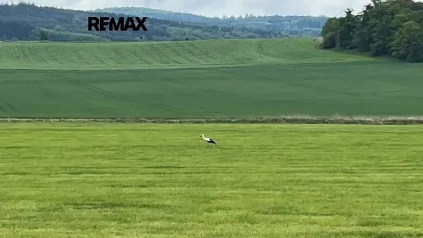 Prodej pozemku pro bydlení, Chocenice, 4491 m2