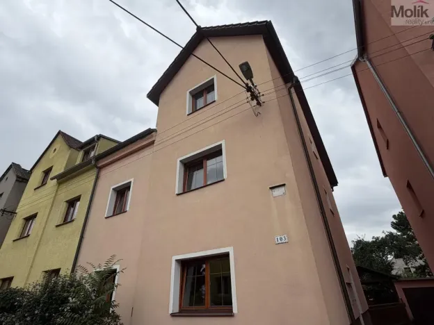Pronájem vícegeneračního domu, Ústí nad Labem - Svádov, 28. října, 110 m2