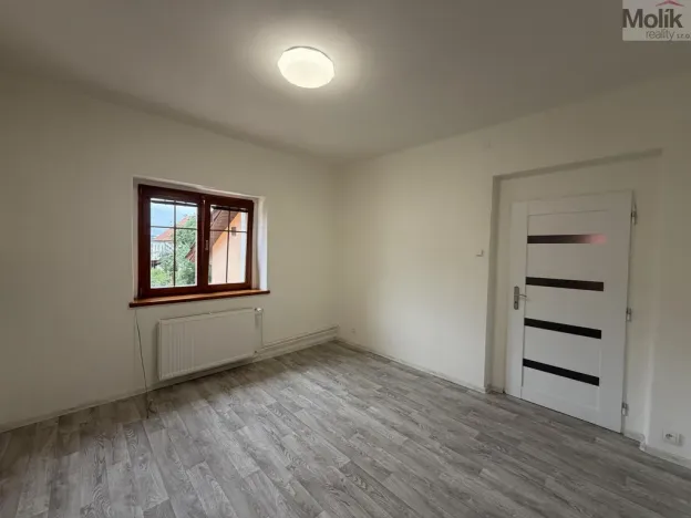 Pronájem vícegeneračního domu, Ústí nad Labem - Svádov, 28. října, 110 m2