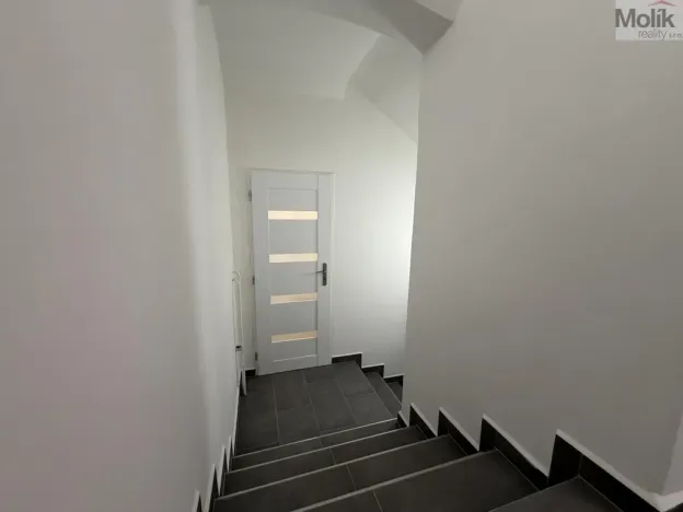 Pronájem vícegeneračního domu, Ústí nad Labem - Svádov, 28. října, 110 m2