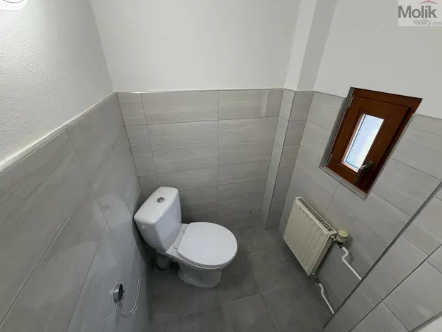 Pronájem vícegeneračního domu, Ústí nad Labem - Svádov, 28. října, 110 m2