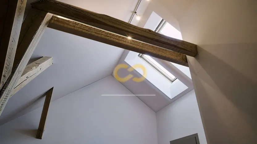 Pronájem bytu 3+kk, Písek - Vnitřní Město, Alšovo nám., 150 m2