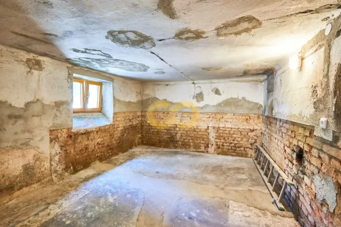 Prodej rodinného domu, České Budějovice, Revoluční, 197 m2