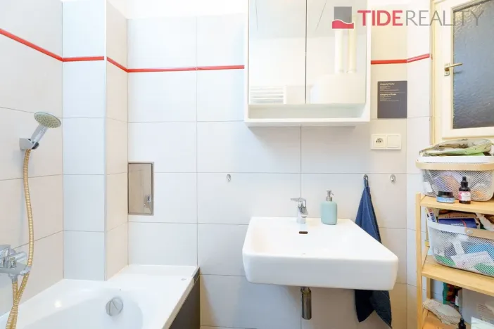 Prodej bytu 2+1, Praha - Nusle, Pod Terebkou, 80 m2
