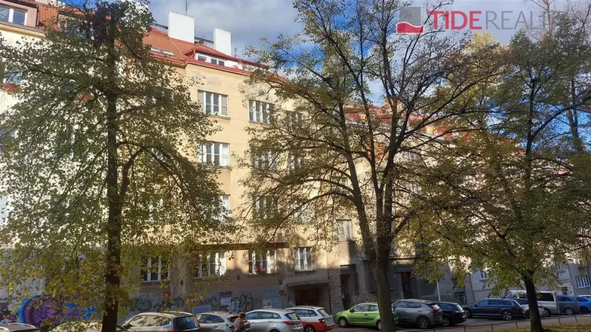 Prodej bytu 2+1, Praha - Nusle, Pod Terebkou, 80 m2