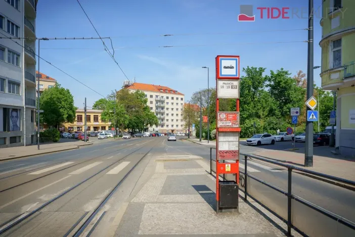 Prodej bytu 2+1, Praha - Nusle, Pod Terebkou, 80 m2