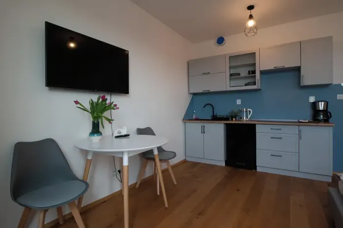Pronájem bytu 1+kk, Praha, Perucká, 27 m2