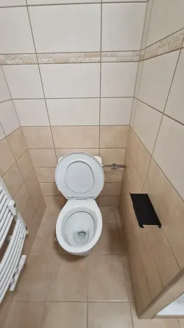Pronájem bytu 1+kk, Teplice, Emilie Dvořákové, 28 m2