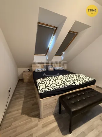 Pronájem bytu 2+kk, Olomouc, Albertova, 60 m2
