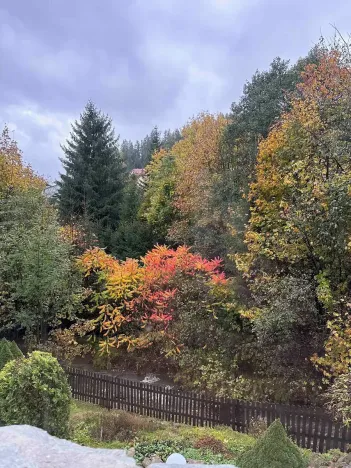 Prodej rodinného domu, Horní Bečva, 104 m2