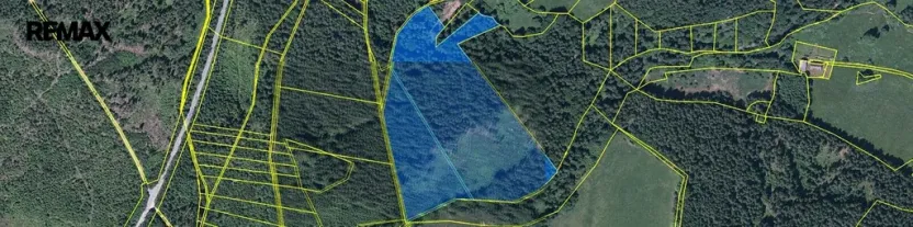 Prodej lesa, Hlavňovice, 56930 m2