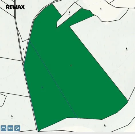 Prodej lesa, Hlavňovice, 56930 m2
