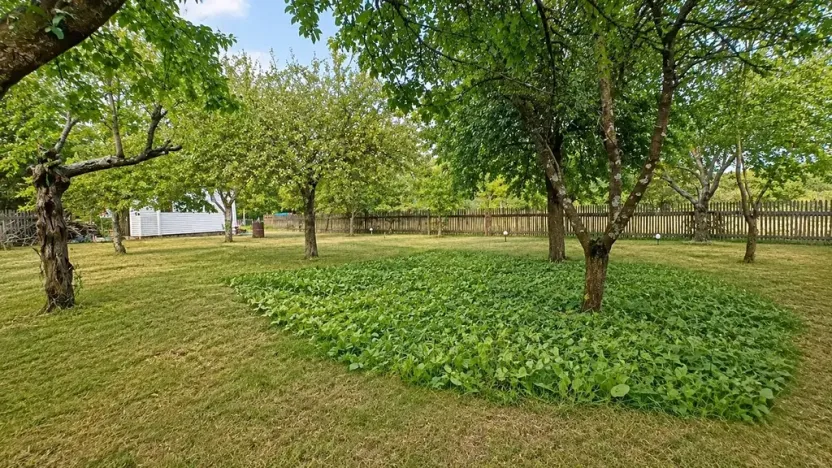 Prodej chaty, Žernovník, 40 m2