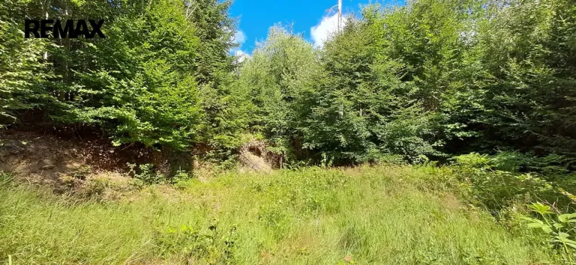 Prodej lesa, Hlavňovice, 5194 m2