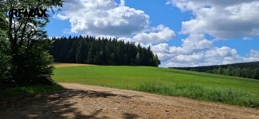 Prodej lesa, Hlavňovice, 5194 m2