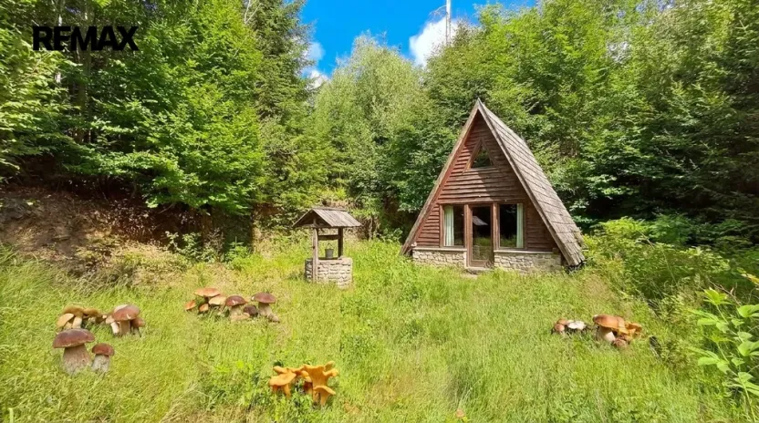 Prodej lesa, Hlavňovice, 5194 m2