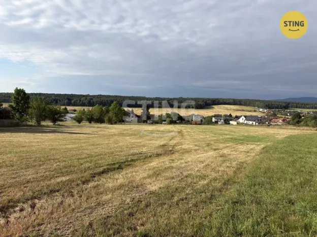 Prodej pozemku pro bydlení, Litvínovice - Mokré, 5523 m2