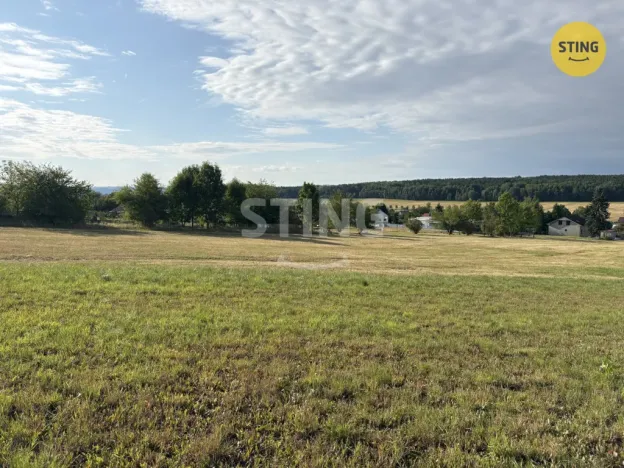 Prodej pozemku pro bydlení, Litvínovice - Mokré, 5523 m2