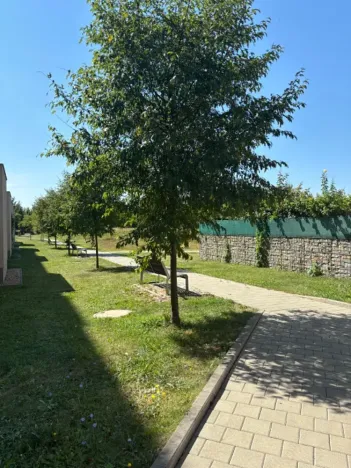 Pronájem bytu 1+kk, Brno, Kigginsova, 37 m2