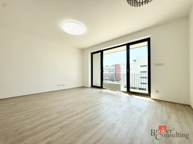 Pronájem bytu 1+kk, Plzeň - Jižní Předměstí, Železná, 42 m2