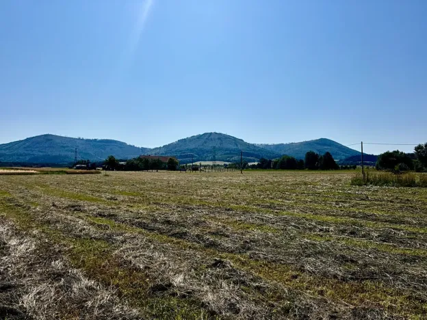 Prodej pozemku pro bydlení, Kozlovice, 4354 m2