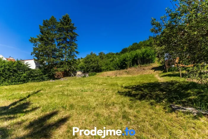 Prodej pozemku pro bydlení, Viničné Šumice, 7165 m2