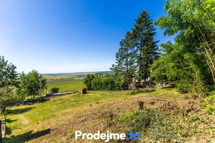 Prodej pozemku pro bydlení, Viničné Šumice, 7165 m2