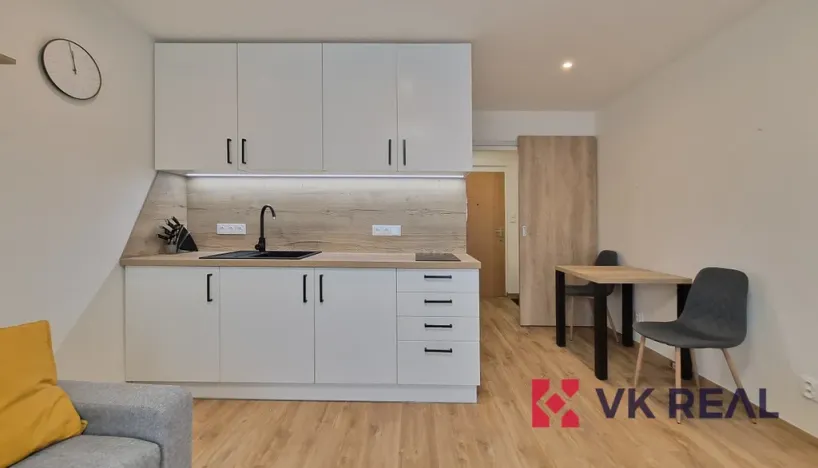 Pronájem bytu 1+kk, Plzeň - Jižní Předměstí, Raisova, 27 m2