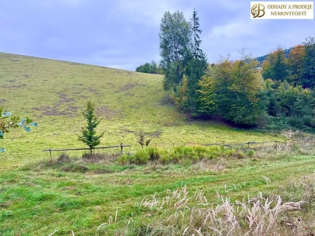Prodej louky, Dlouhomilov, 7512 m2