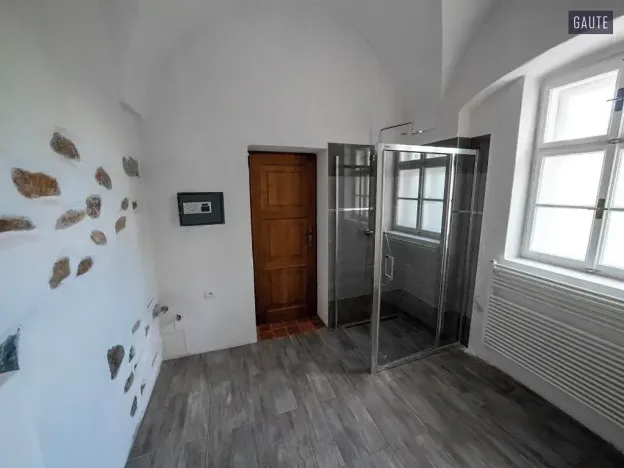 Prodej zemědělské usedlosti, Vlasatice, 5889 m2