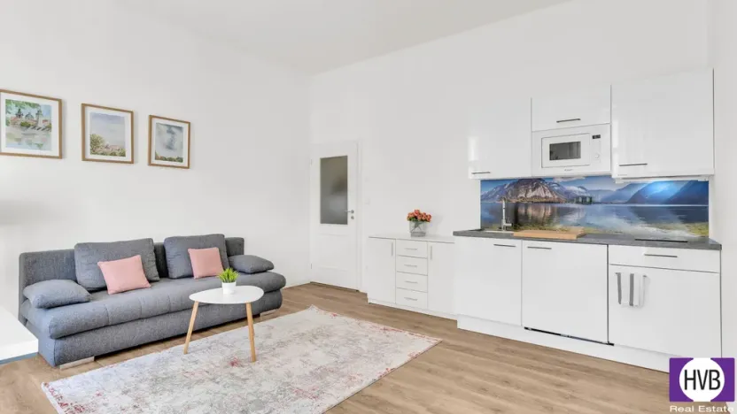 Prodej bytu 2+kk, Praha, Petrská, 42 m2