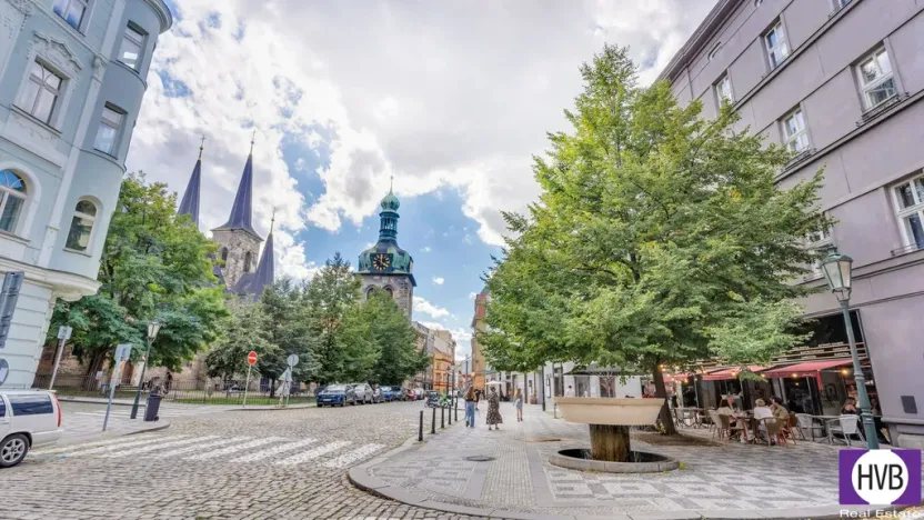 Prodej bytu 2+kk, Praha, Petrská, 42 m2