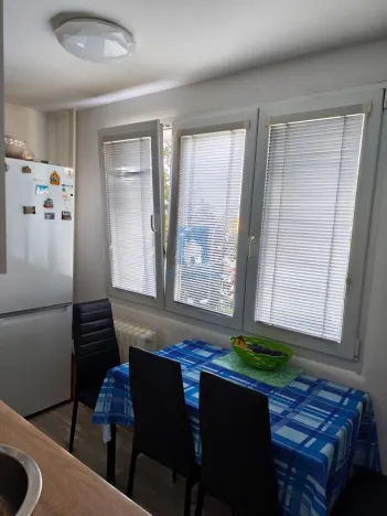 Pronájem bytu 2+1, Plzeň, Sousedská, 62 m2