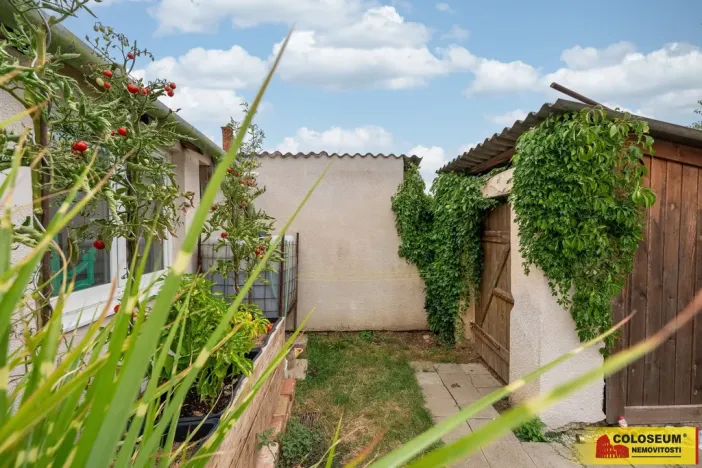 Prodej rodinného domu, Pravice, 90 m2