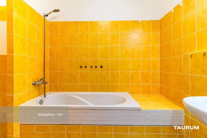 Prodej bytu 2+kk, Plzeň - Východní Předměstí, Květná, 69 m2